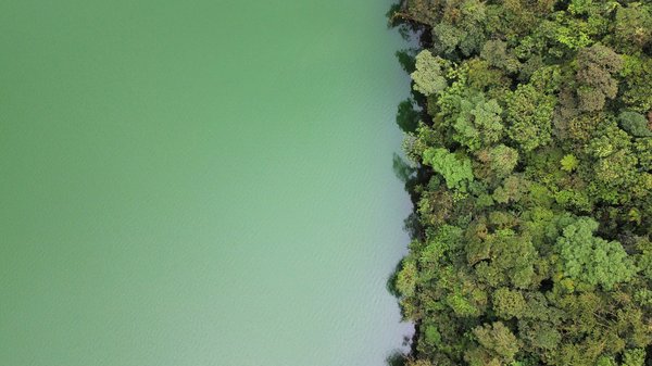 Comment organiser une expédition en canoë dans les forêts tropicales du bassin de l'Amazone ?